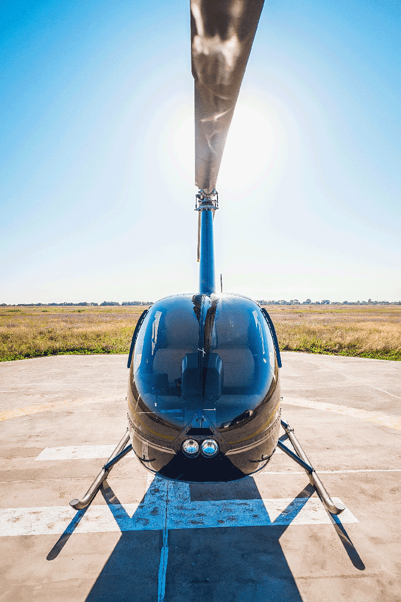 Robinson R44 - Фото №4